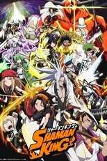 NL - SHAMAN KING S01 8
