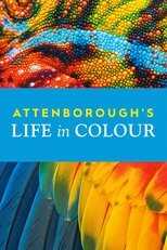 [SE] Attenborough's Life in Colour 8