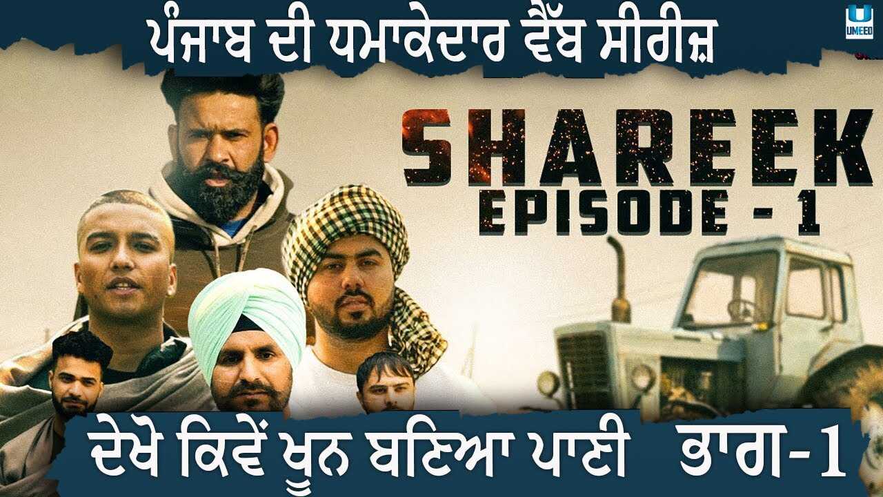 PB - Shareek 8