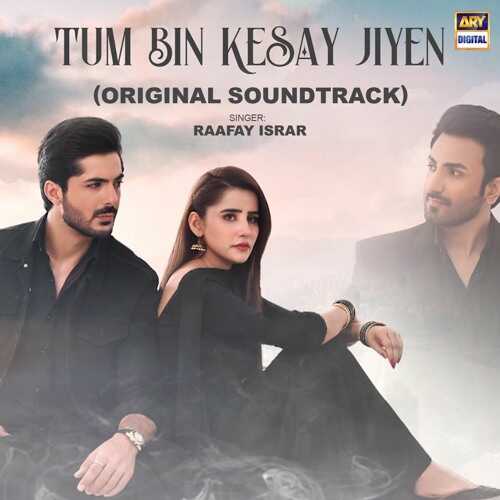 UR - Tum Bin Kesay Jiyen 8