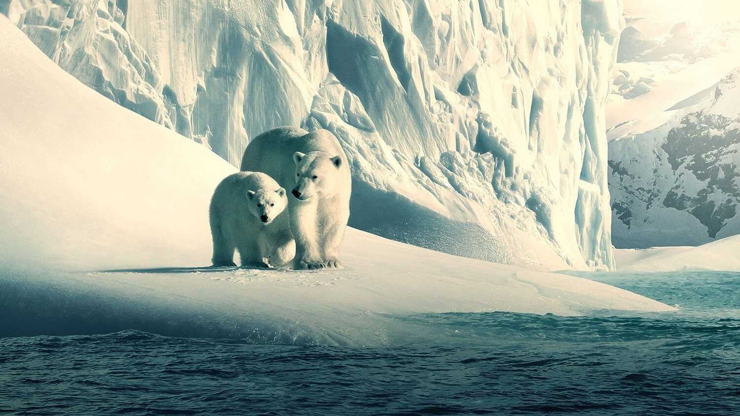 EN - Our Planet (2019-2023) 1