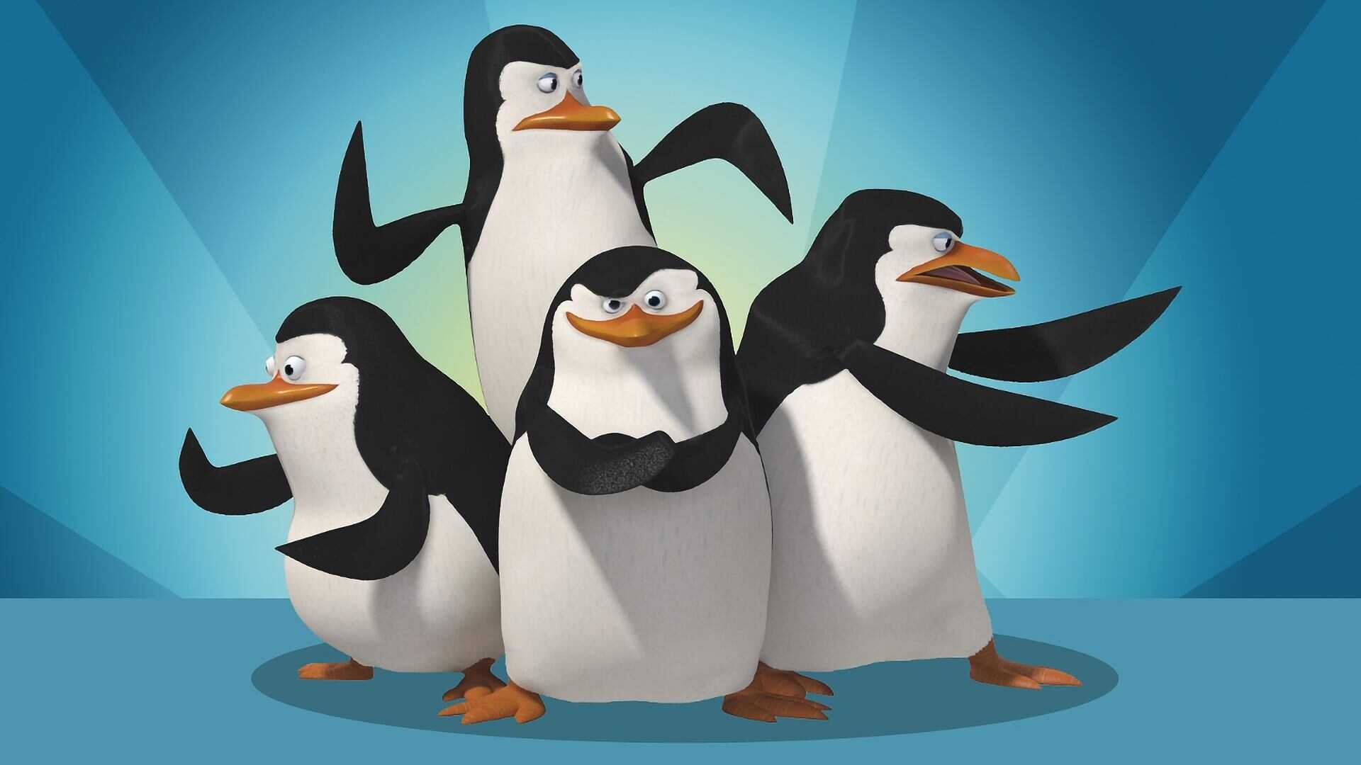 AR - بطاريق مدغشقر 0