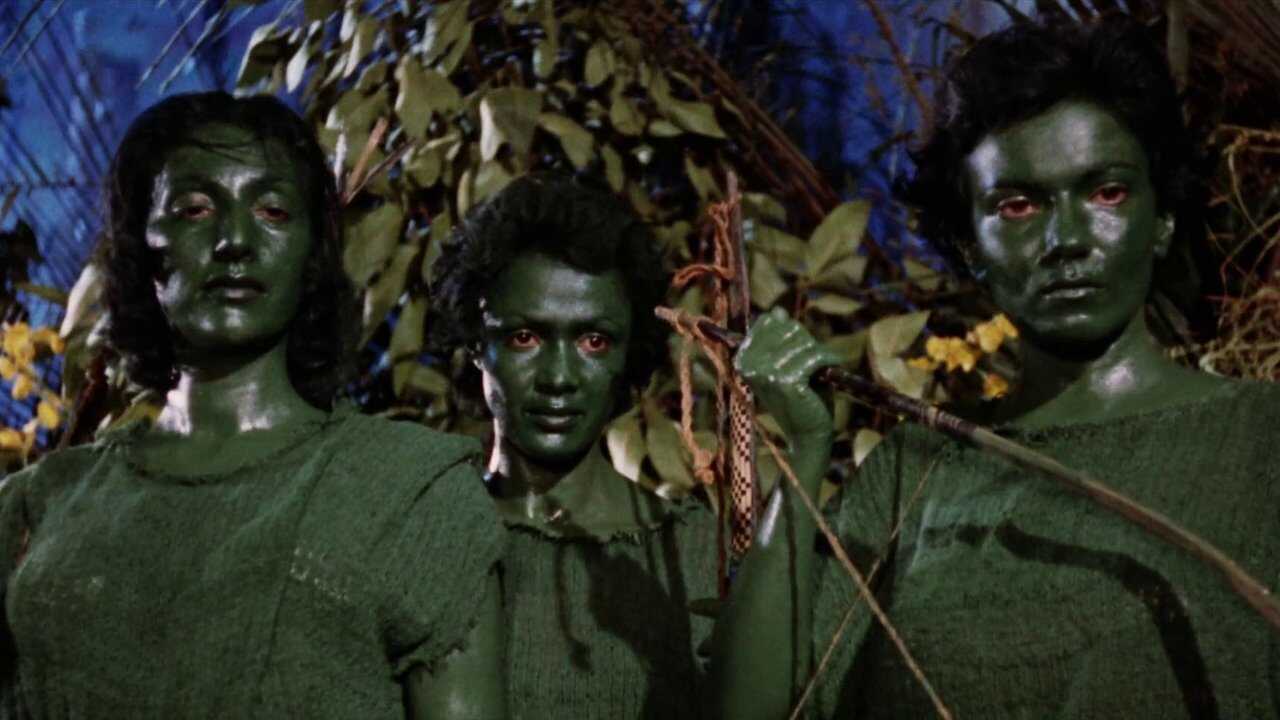 Love Slaves of the Amazons 0