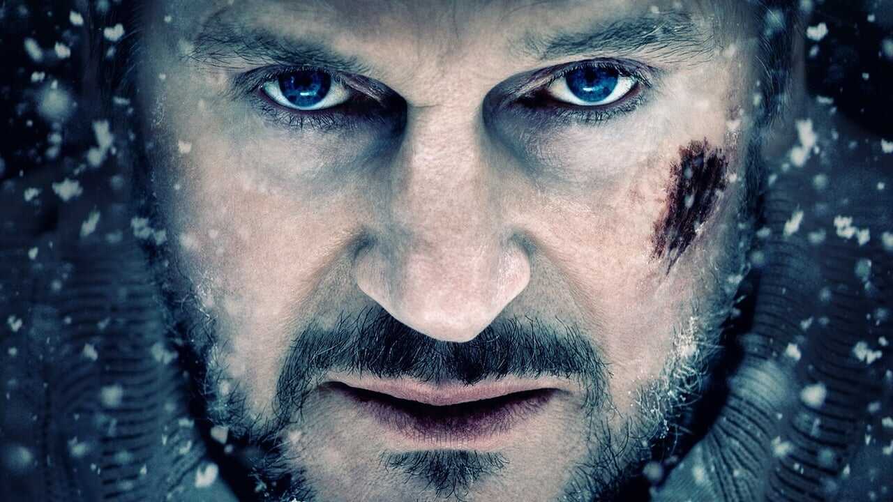 The Grey (2012) 0