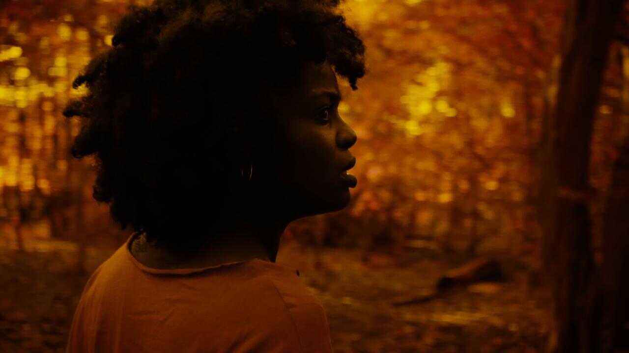 A Song from the Dark (2023) 0