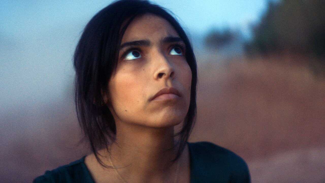 أنيماليا (2023) 0
