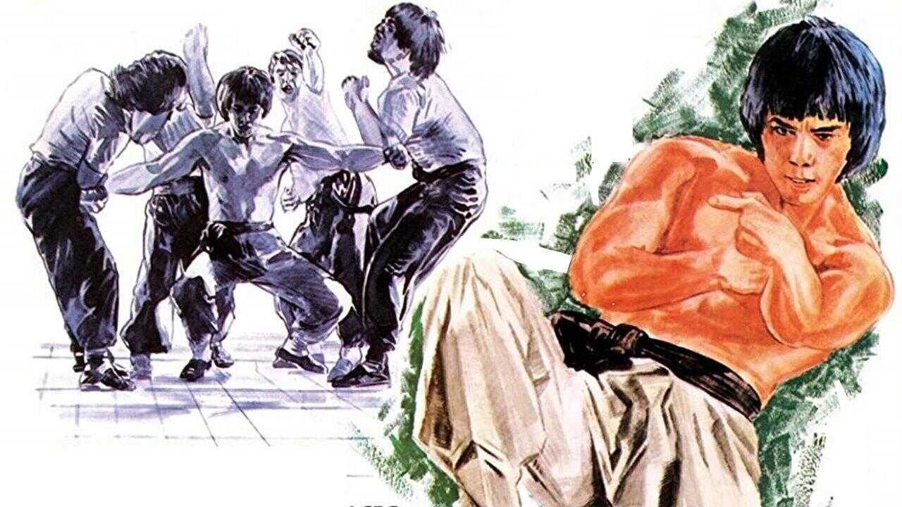 Snake in the Monkey's Shadow (1979) 0