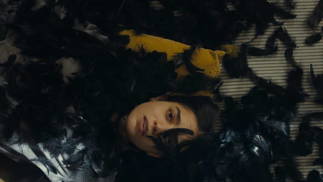 All the World Is Sleeping 0