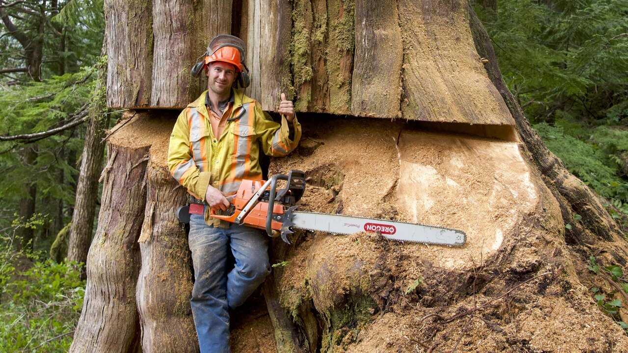 EN - The Last Woodsmen (2024) 2
