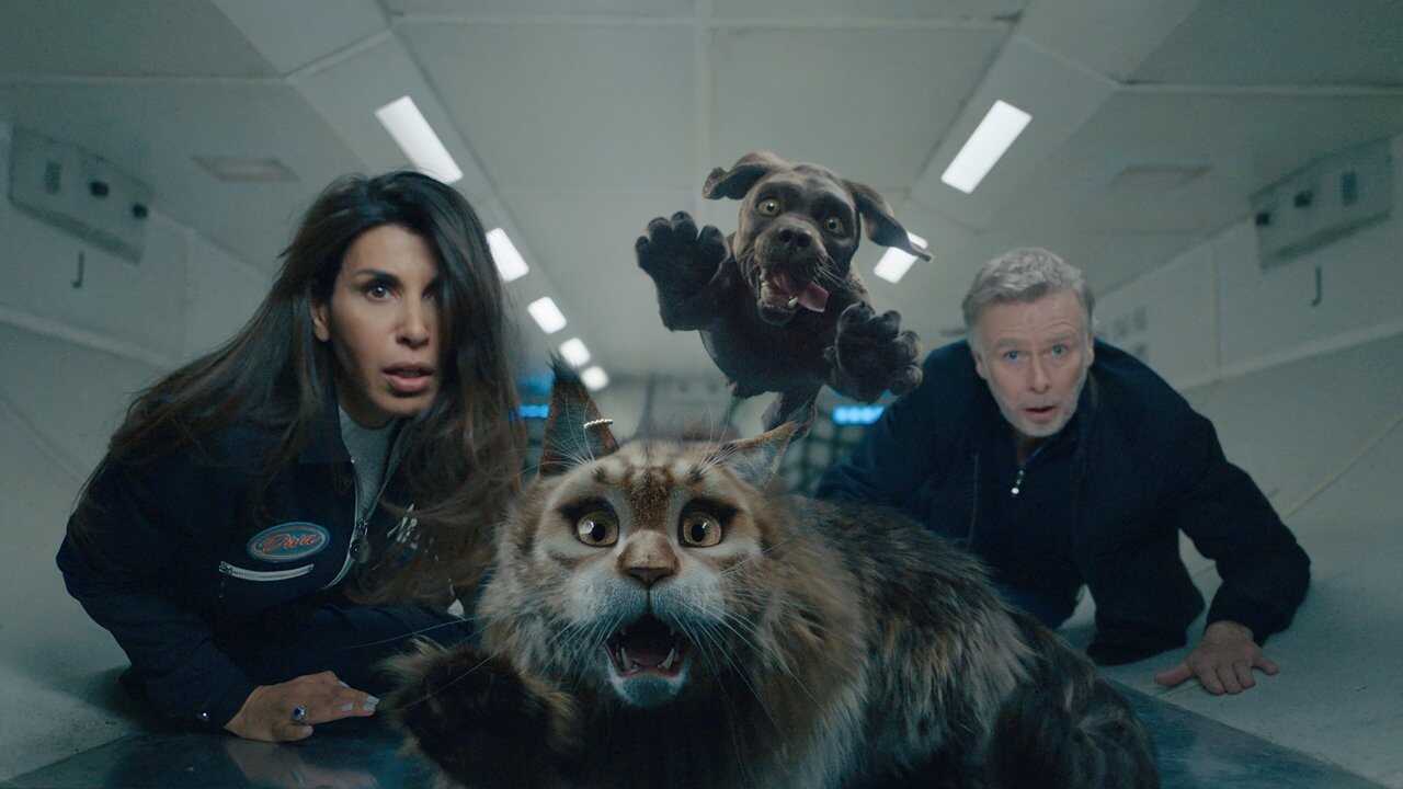 Cat and Dog (2024) 0