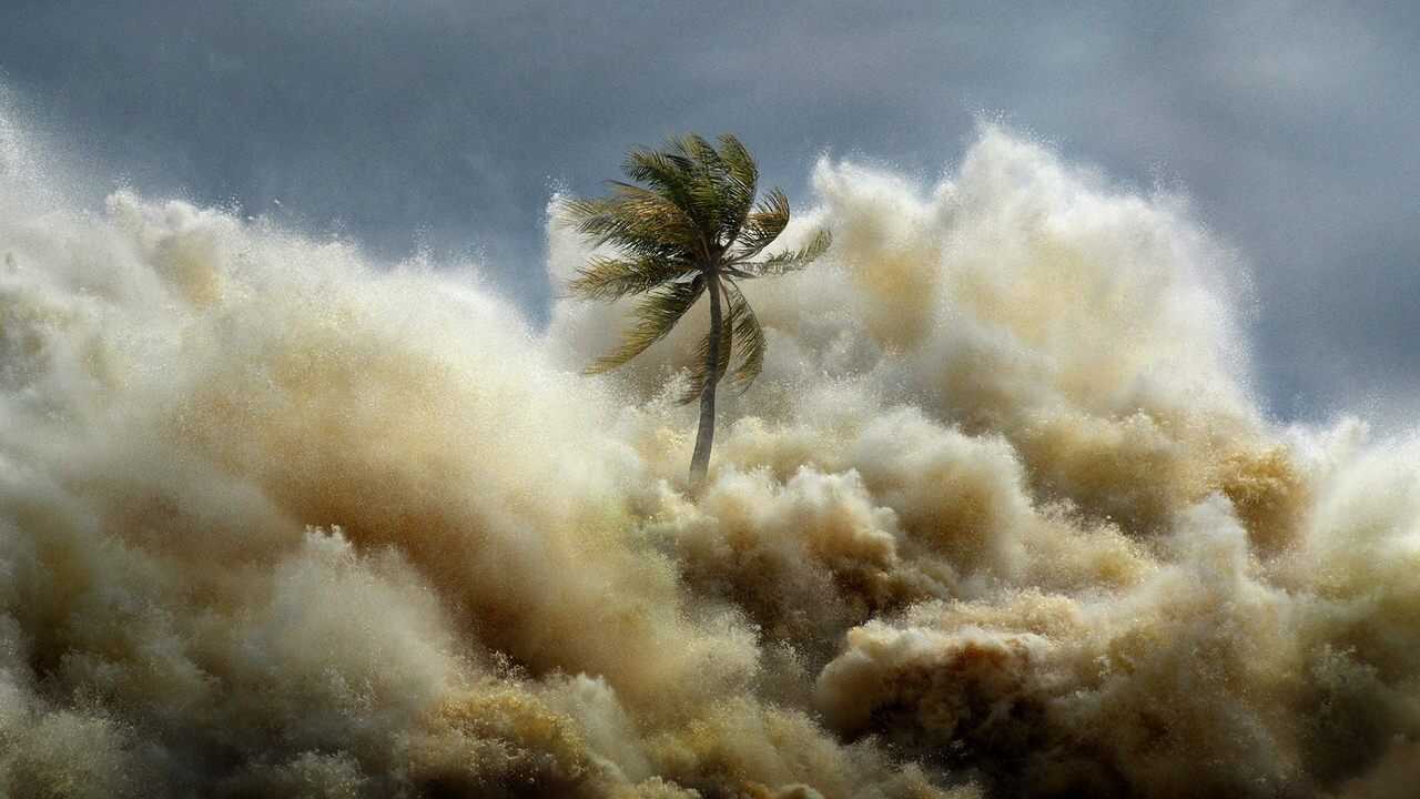 ES - Tsunami: Carrera contra el tiempo (2024) 0