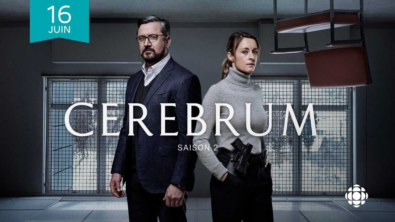 QFR - Cerebrum (2019) 4