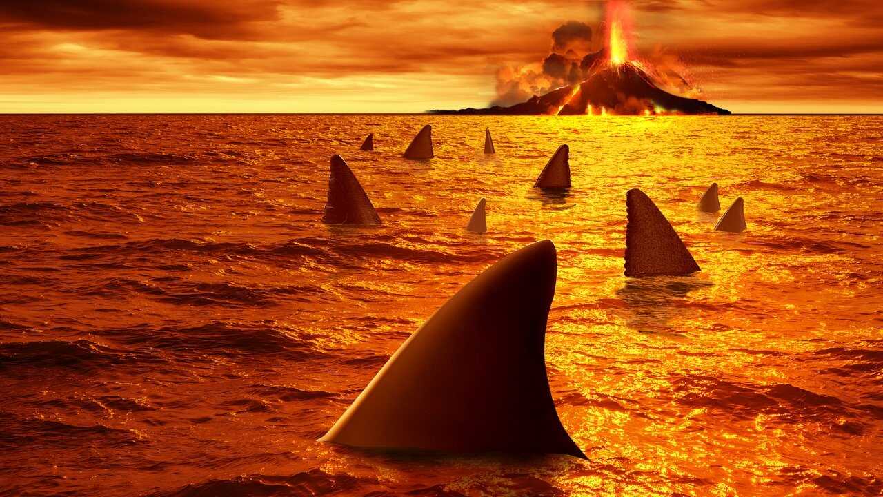 Sharkcano 0