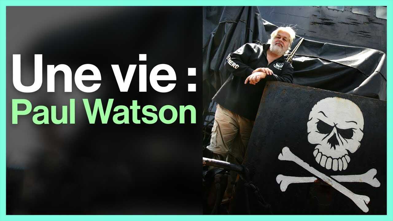 Paul Watson : comment devenir un pirate écolo 0