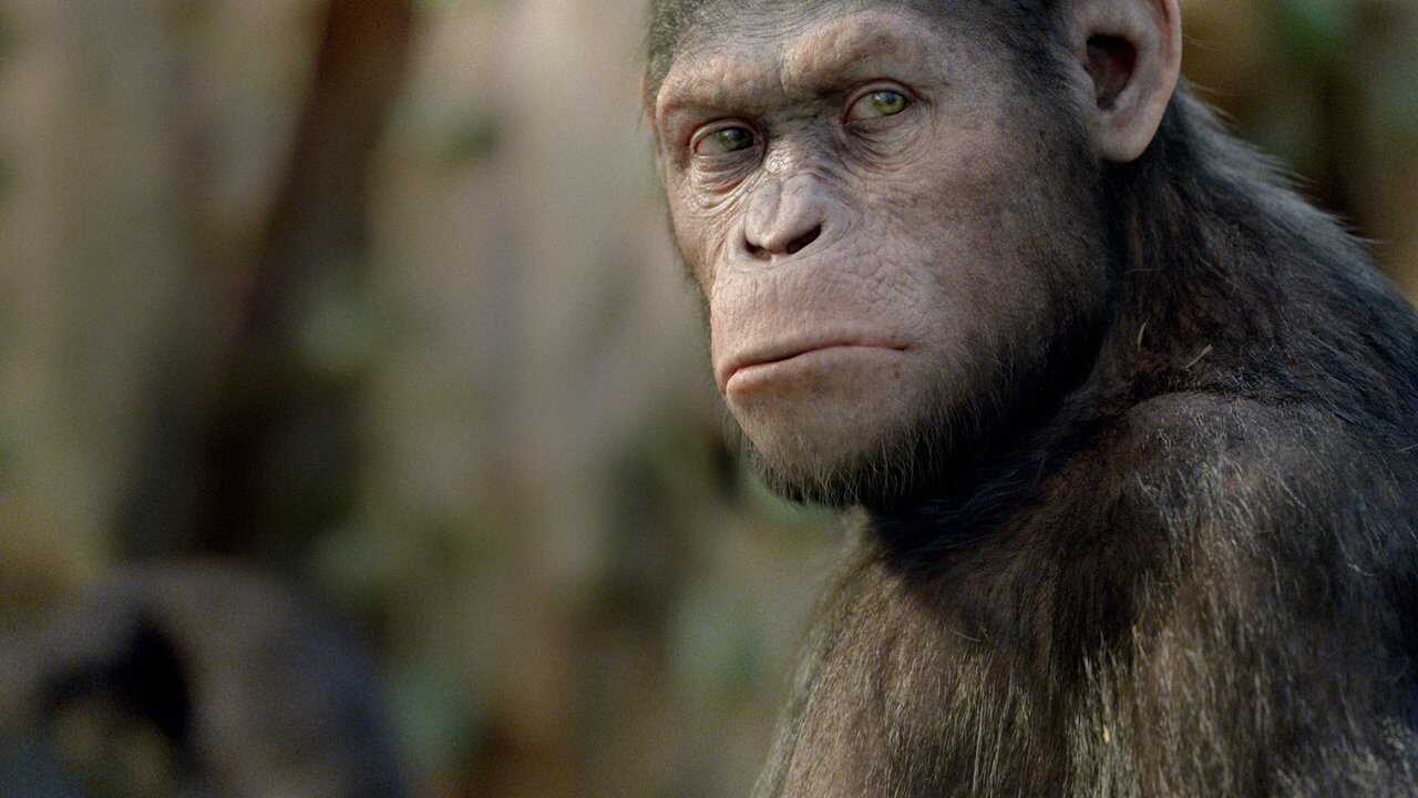 El origen del planeta de los simios (2011) 0