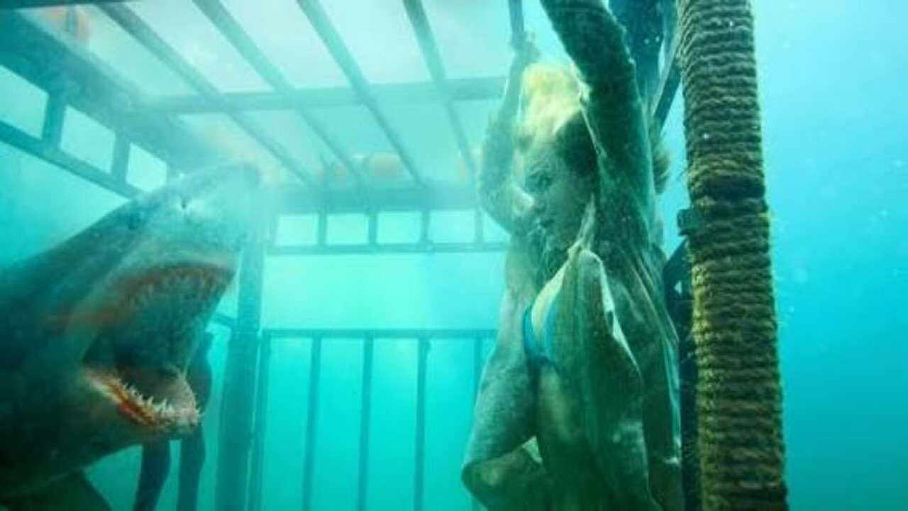 Raging Sharks (2005) 0