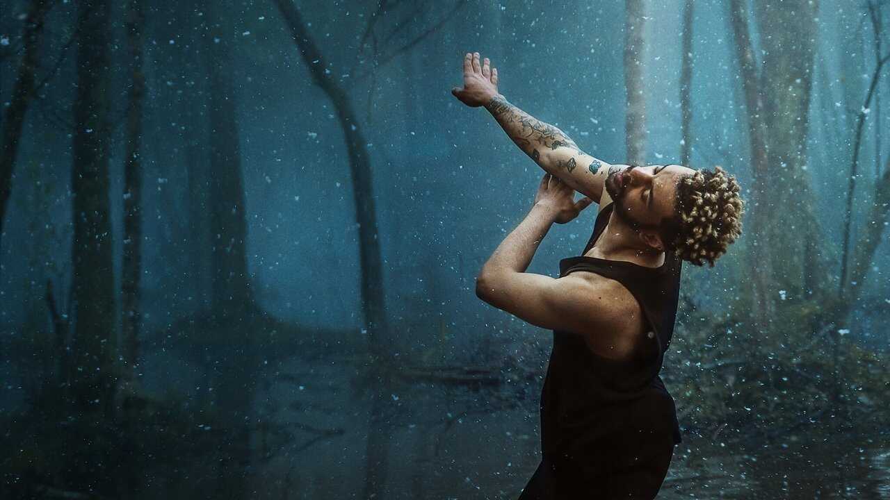 FR - Dance Brothers 0