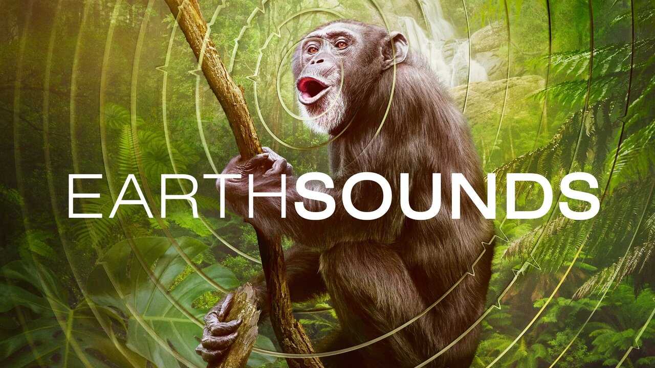 FR - Earthsounds : les sons de la Terre 4