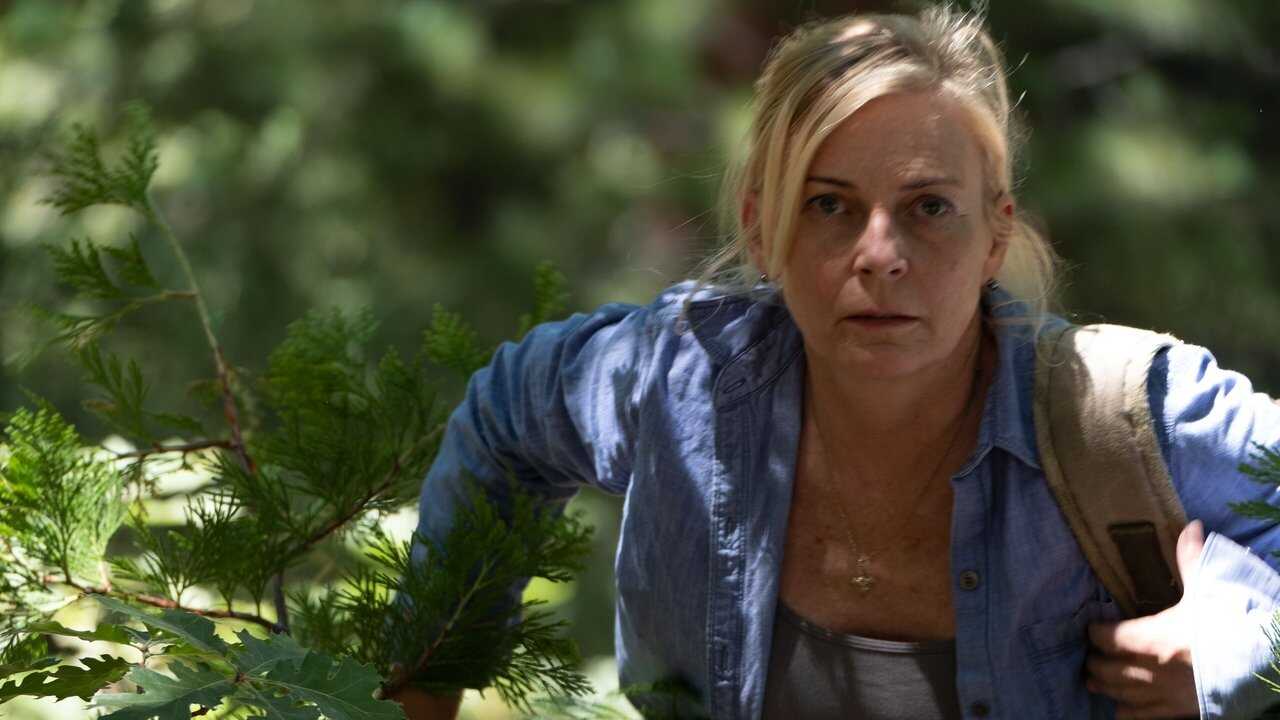 In the Forest 0