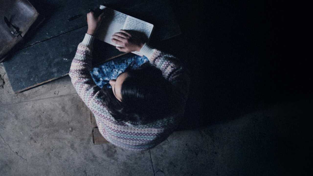 Anne Frank, journal d'une adolescente 0