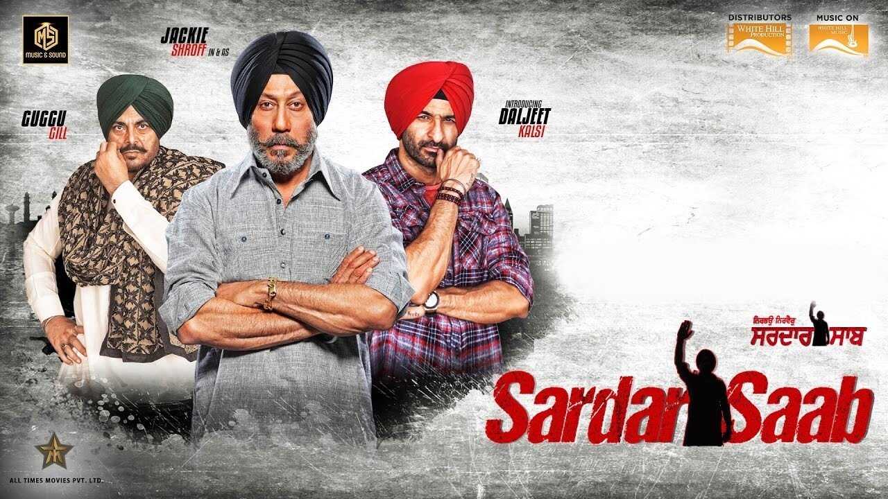 Sardar Saab (2016) 0