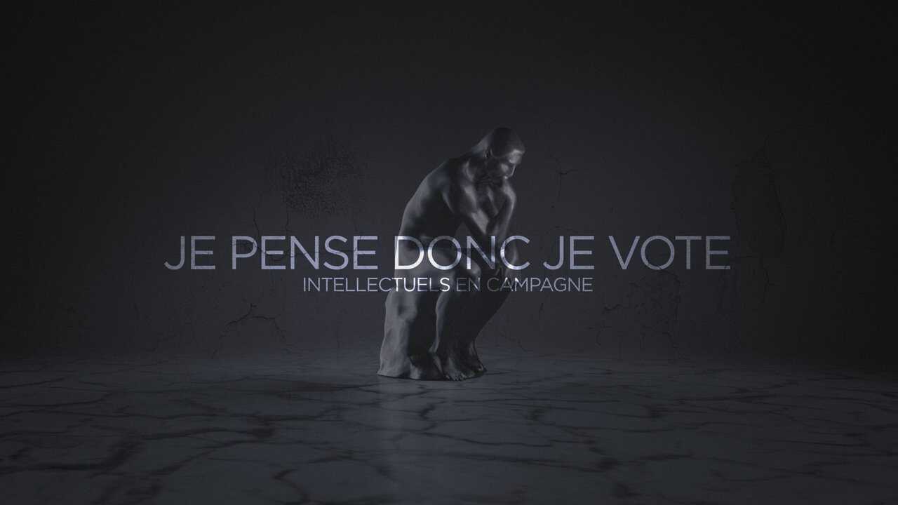 Je pense donc je vote : Intellectuels en campagne 0