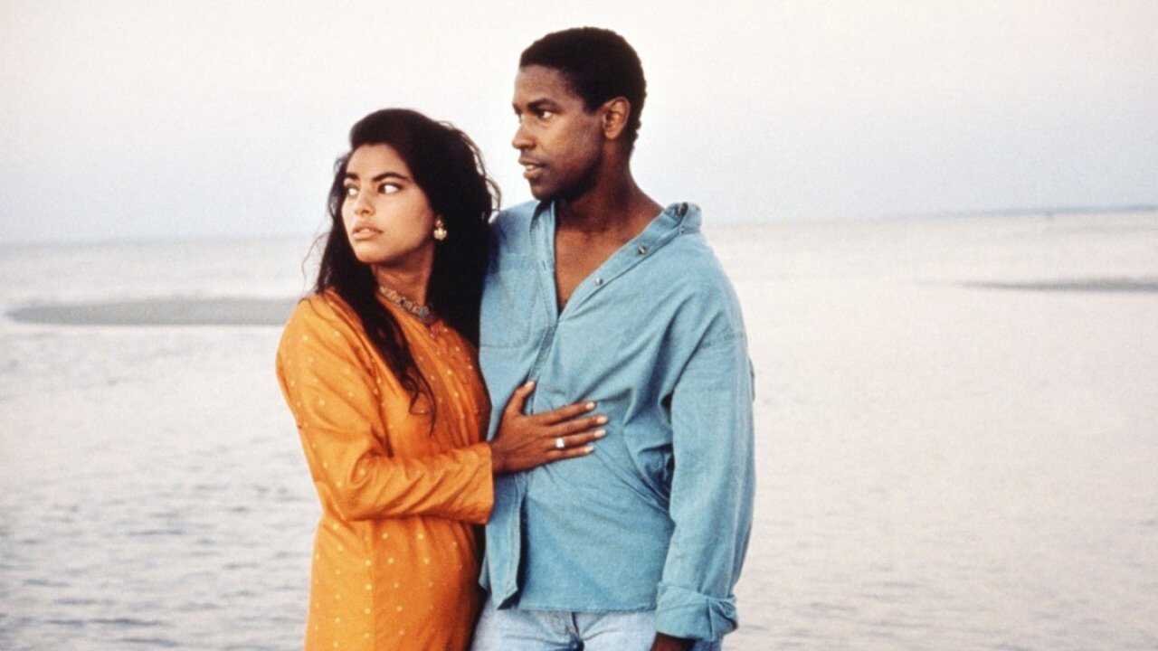 Mississippi Masala 0