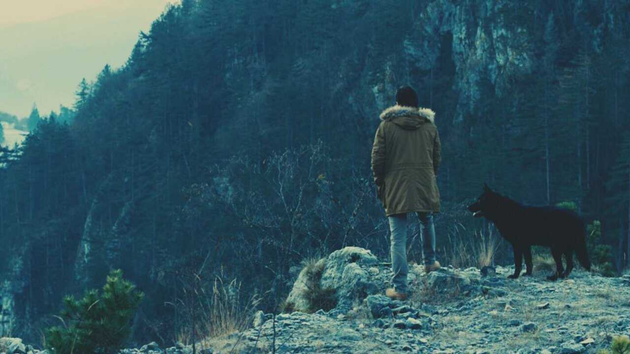 Dogs Die Alone (2019) 0