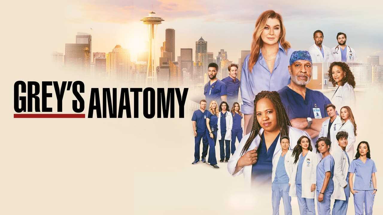 [SE] Grey's Anatomy 3