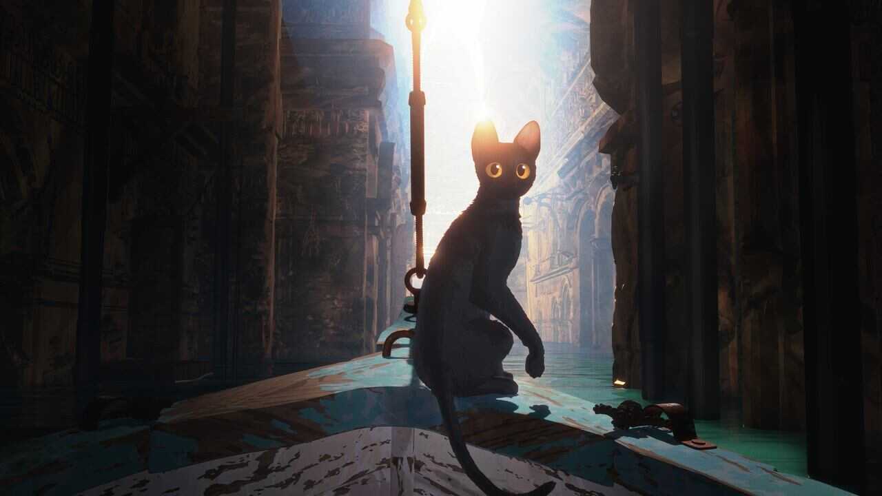 Flow, le chat qui n'avait plus peur de l'eau (2024) 0