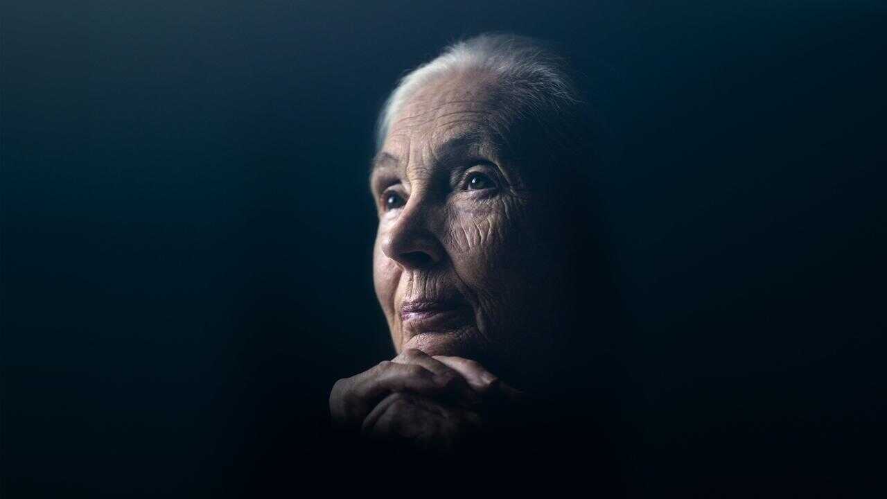 Jane Goodall: The Hope 0
