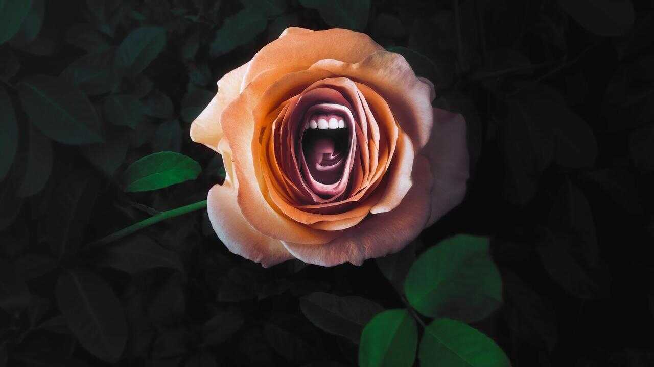 EN - Roar (2022) 0