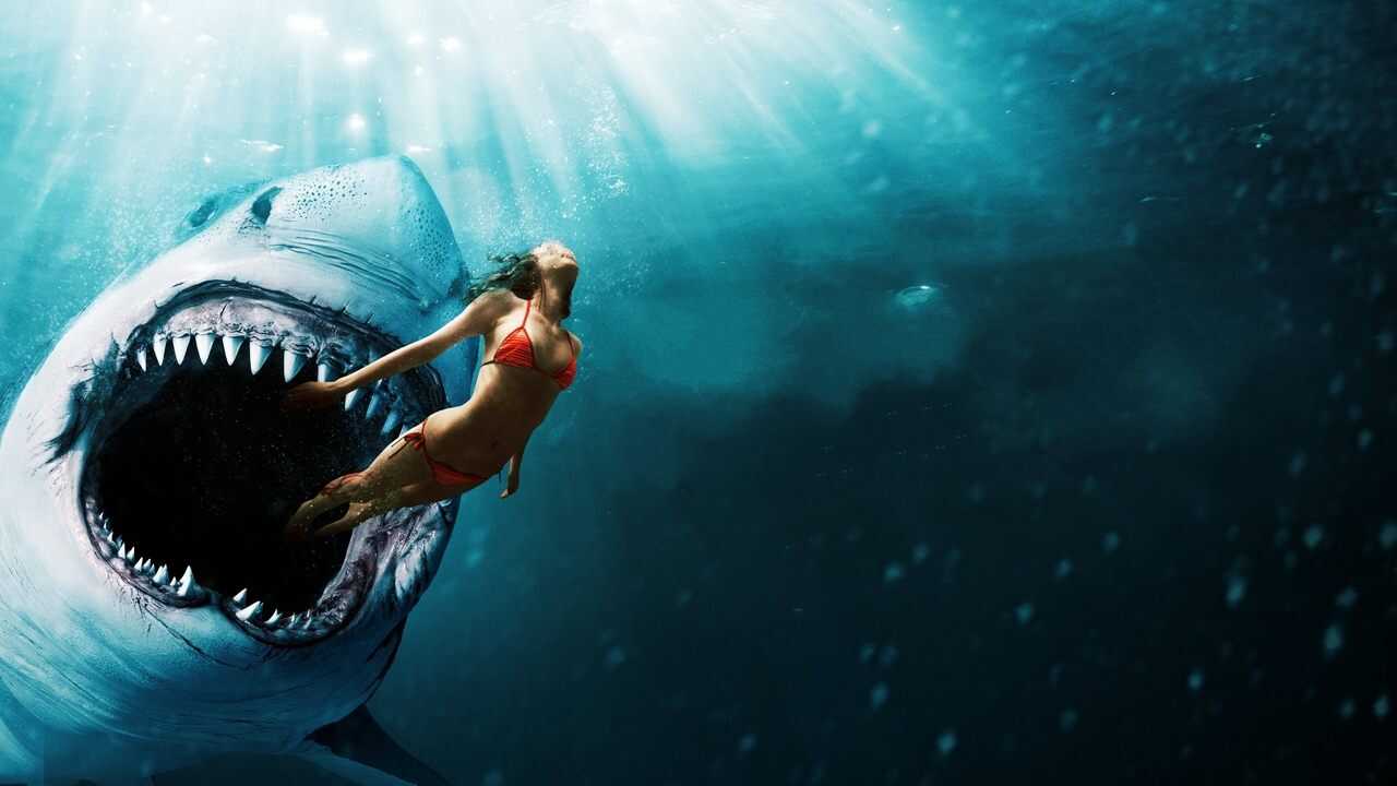Shark Bait 0