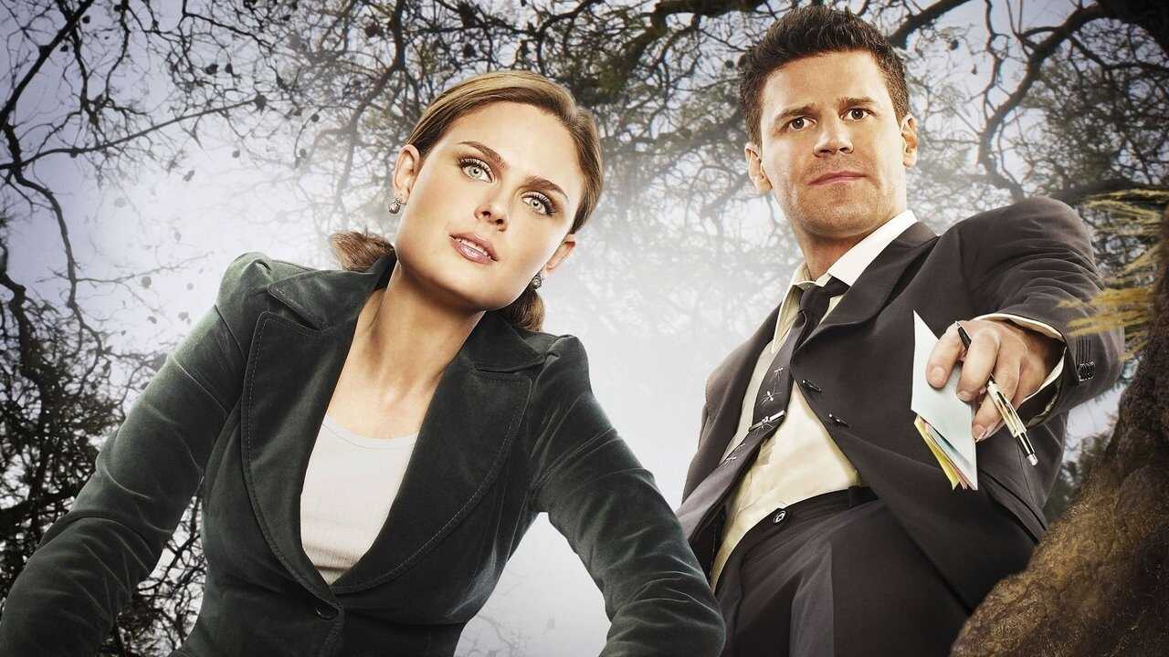 [SE] Bones 3