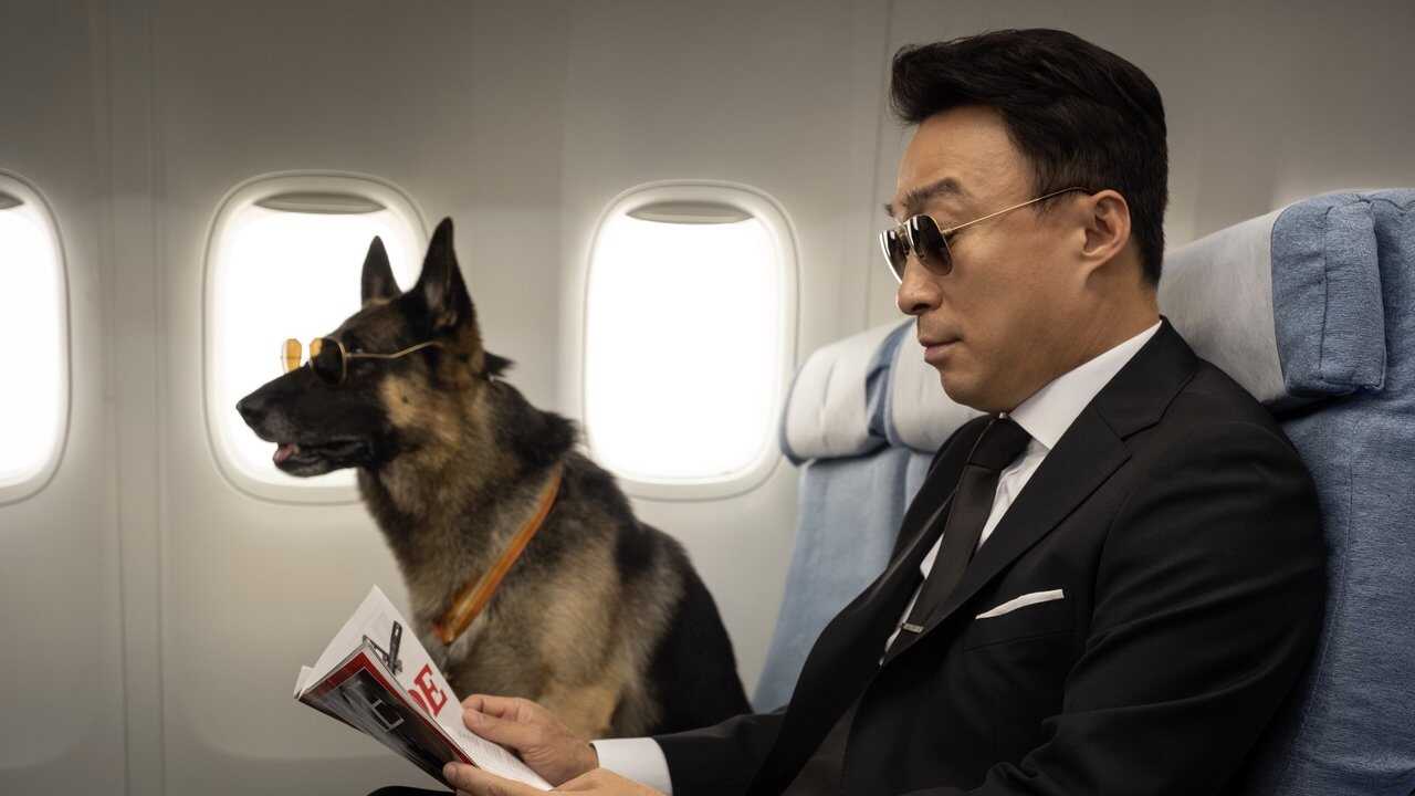 미스터 주: 사라진 VIP 0