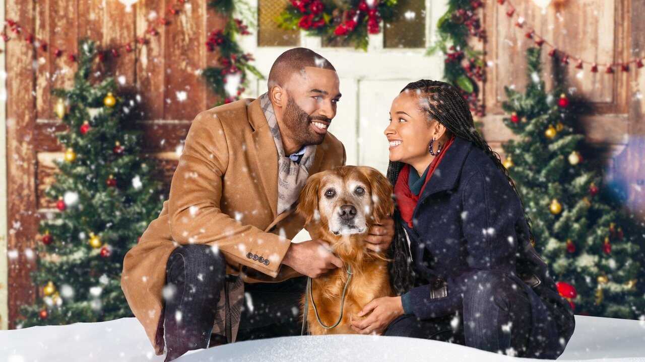 A Christmas Stray (2021) 0