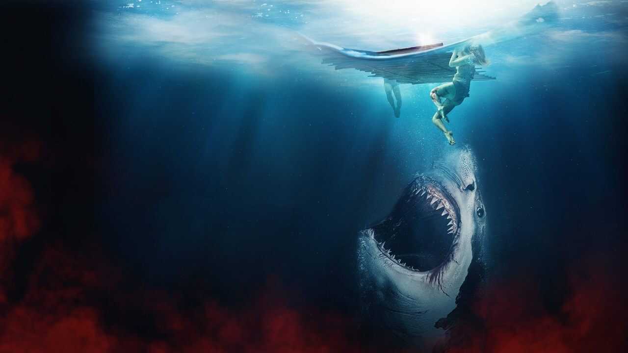 The Requin 0