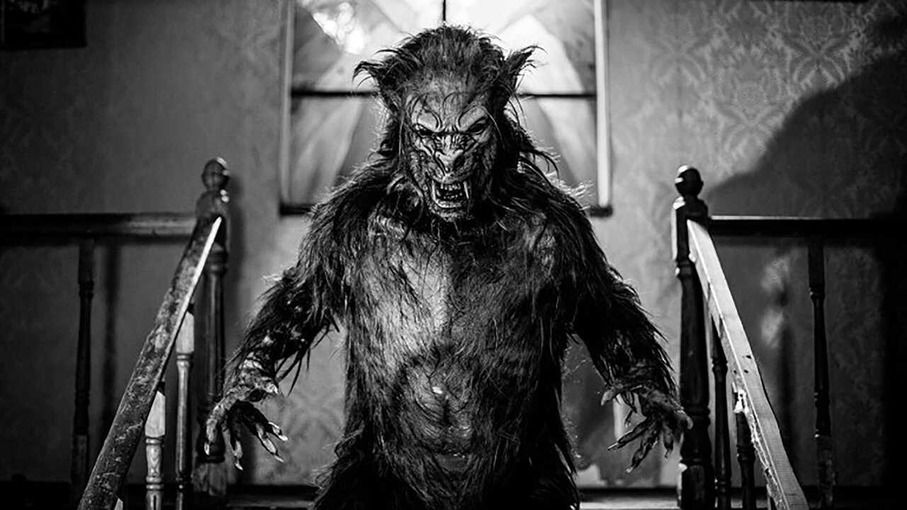 A Werewolf in England 0