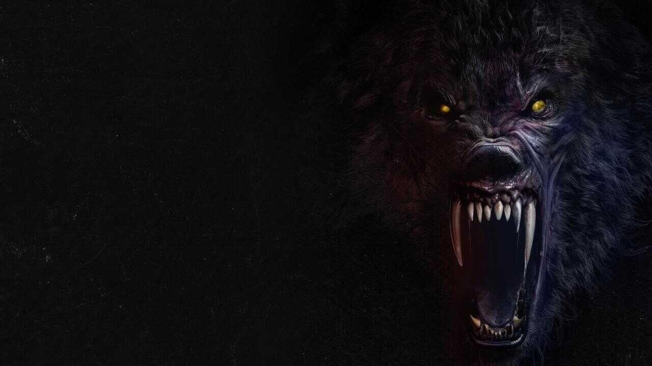 Werewolves (2024) 0