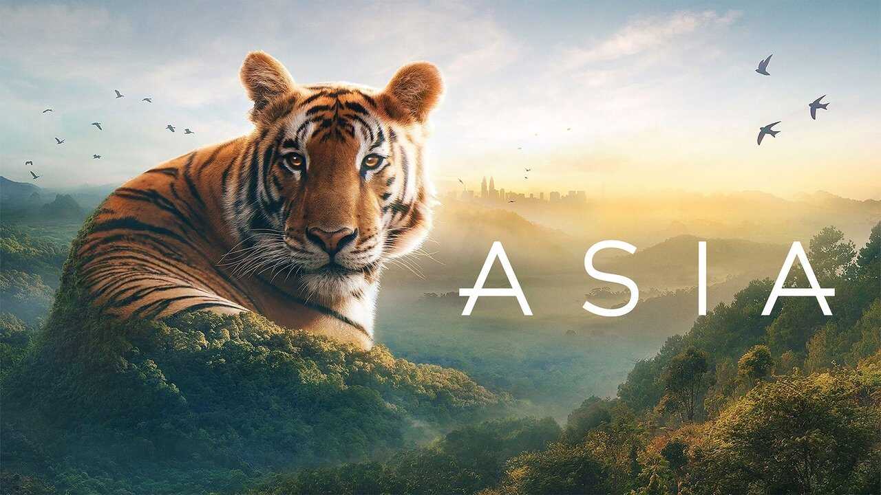 EN - Asia (2024)  David Attenborough 3