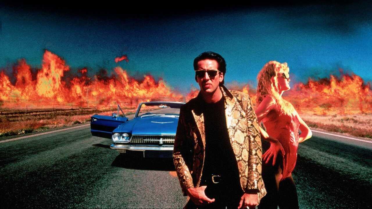 Wild at Heart 0