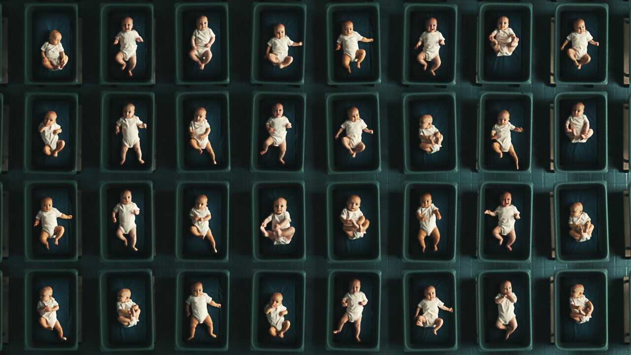 IN - The Man with 1000 Kids (2024) 0