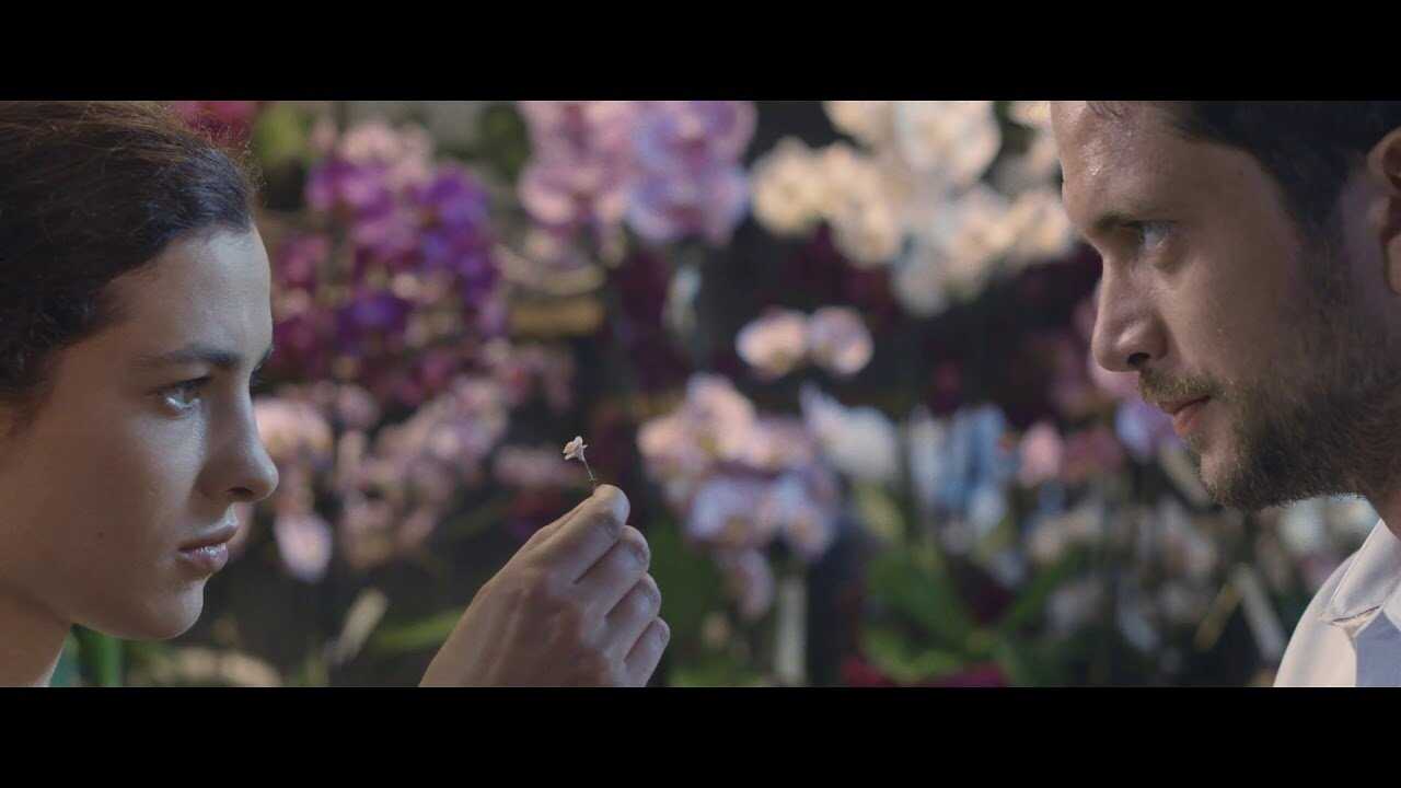 The Infinite Garden (2017) 0