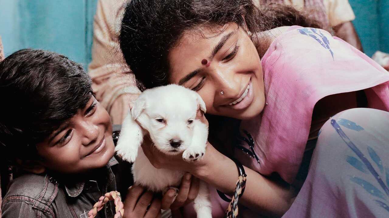 Dhonima (2024) 0