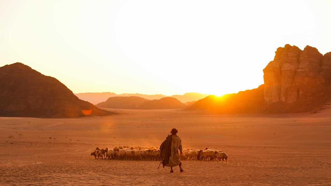 The Goat Life (2024) 0