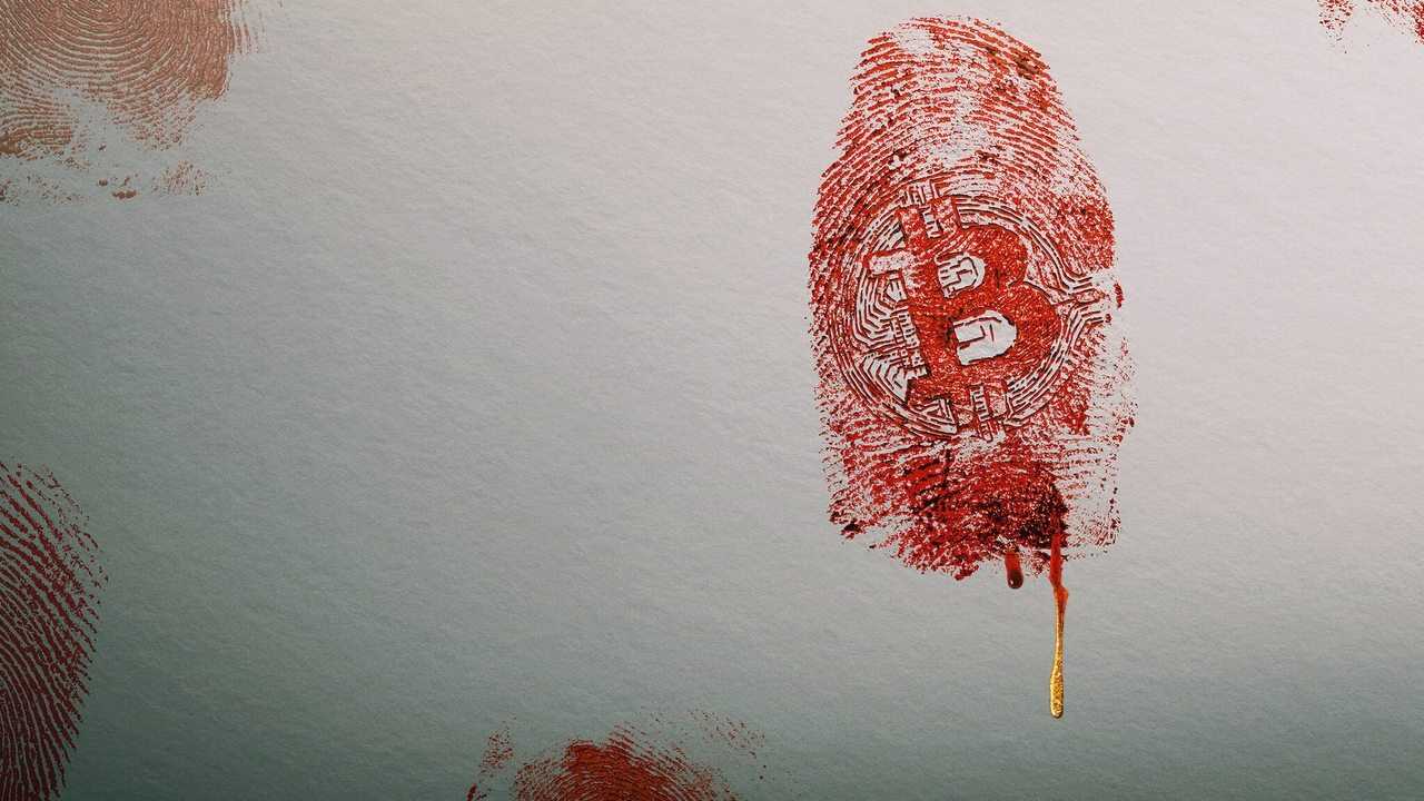 Trust No One: The Hunt for the Crypto King 0
