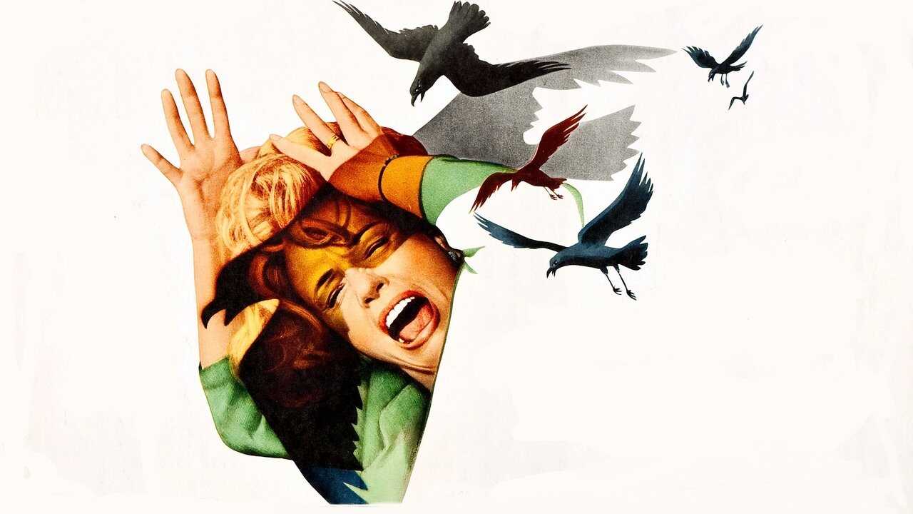 The Birds 0