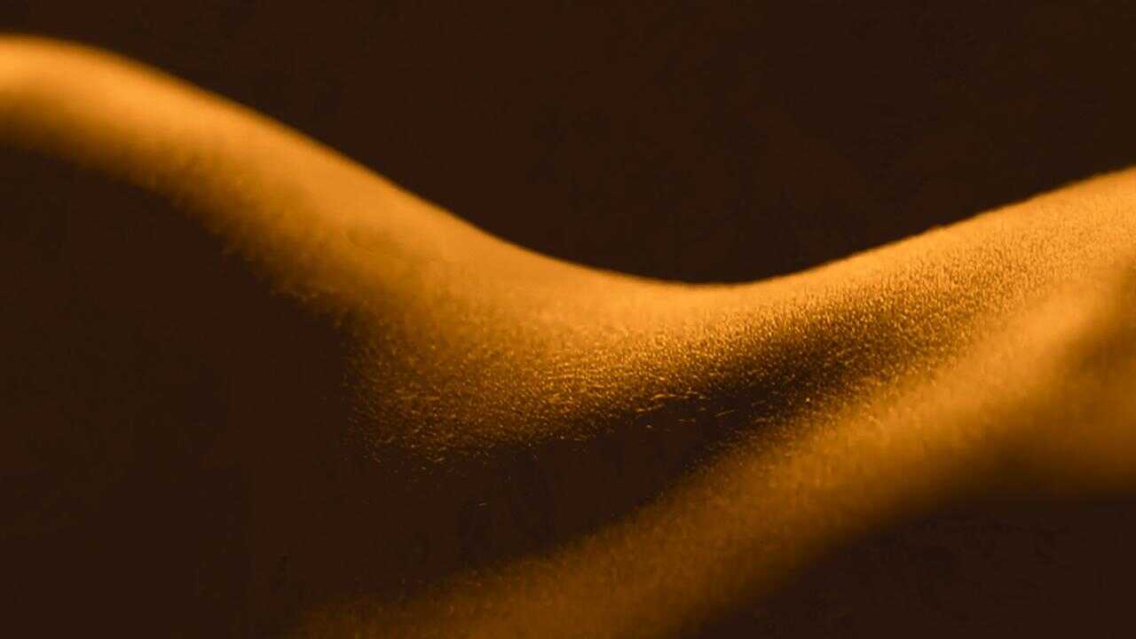 FR - Le sexe, en bref 0