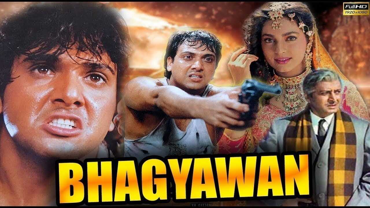 Bhagyawan (1993) 0