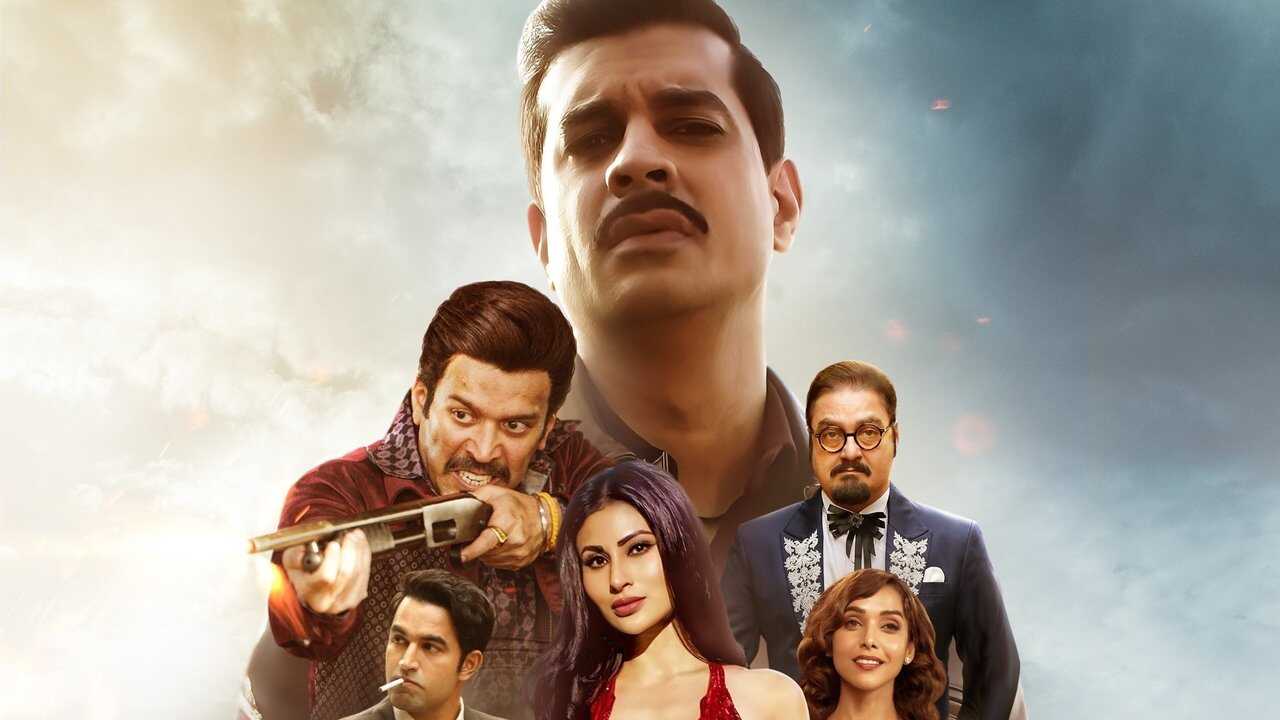IN - Sultan Of Delhi 2